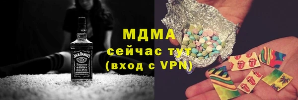 индика Алексин