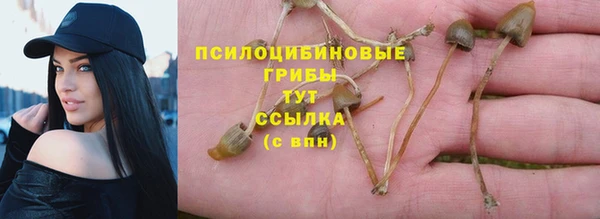 прущая мука Алзамай