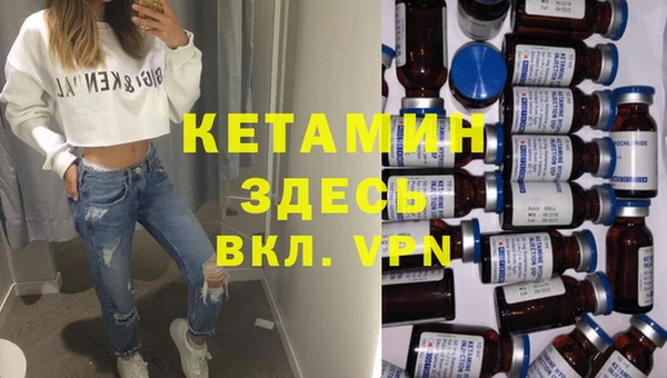 индика Алексин