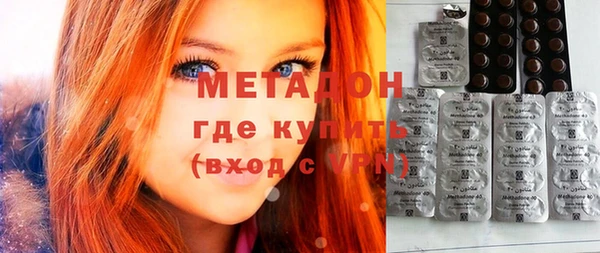 индика Алексин