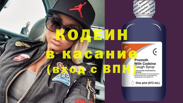 индика Алексин