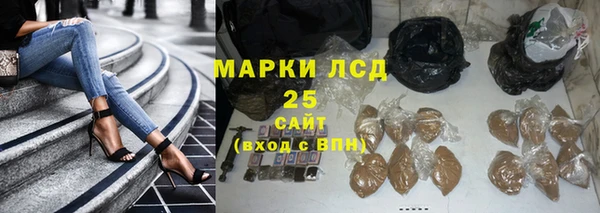 индика Алексин