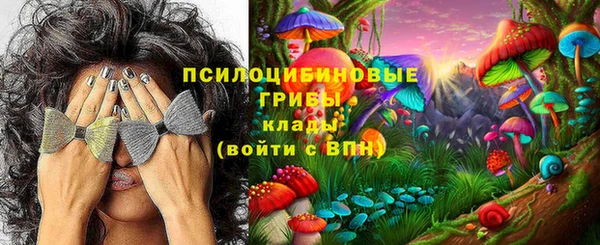индика Алексин
