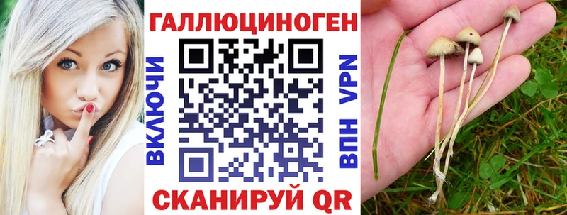 Галлюциногенные грибы мицелий закладки Ярцево